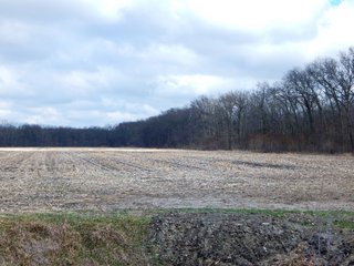 Property photo 20 - MAJOR LAND AUCTION - 313+/- ACRES OFFERED IN 7 TRACTS IN IROQUOIS COUNTY, ILLINOIS